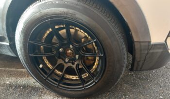 Datsun Cross – $75K – PDZ full